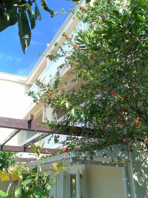 Villa Tenzera Herceg Novi Exteriér fotografie
